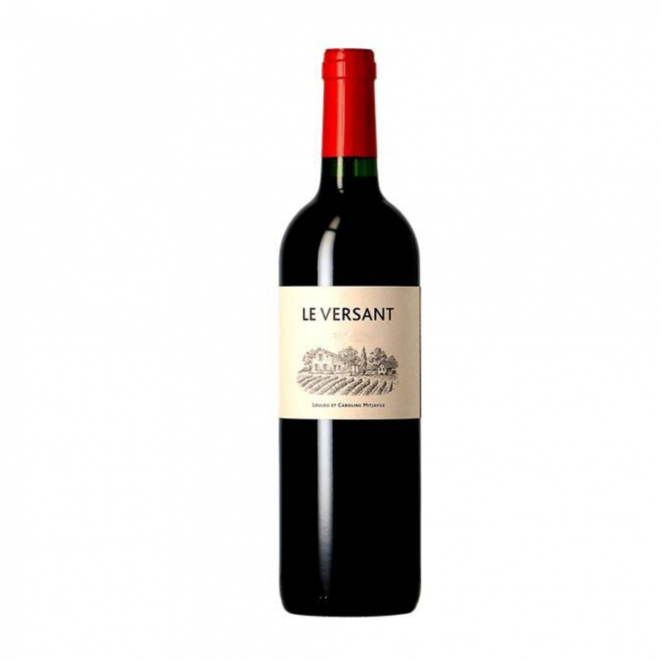 Le Versant AOP Castillon Côtes-de-Bordeaux 2019 Le Versant AOP Castillon Côtes-de-Bordeaux 2019