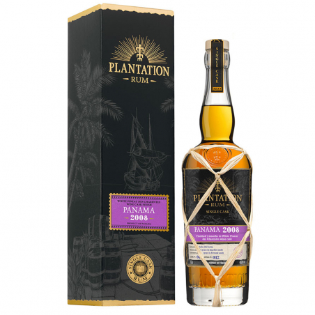 Plantation Panama 2008 13 ans4193