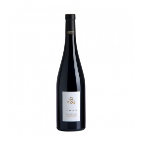 Château de Campuget 1753...