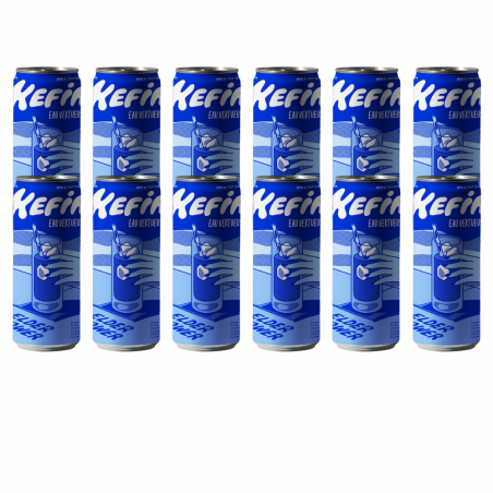 kéfir fleur de sureau canettes x 12