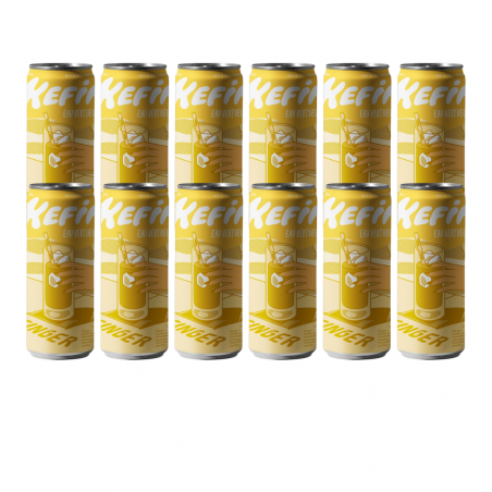 kéfir gingembre curcuma canettes x 12