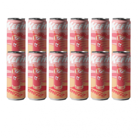 kéfir pamplemousse cardamone canettes x 12