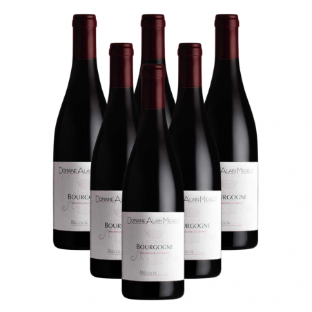 Domaine Alain Michelot AOP Bourgogne Rouge 2020 - Carton de 66865