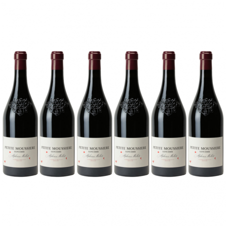 Domaine Alphonse Mellot "Petite Moussière" AOP Sancerre Rouge 2021 - Carton de 66867