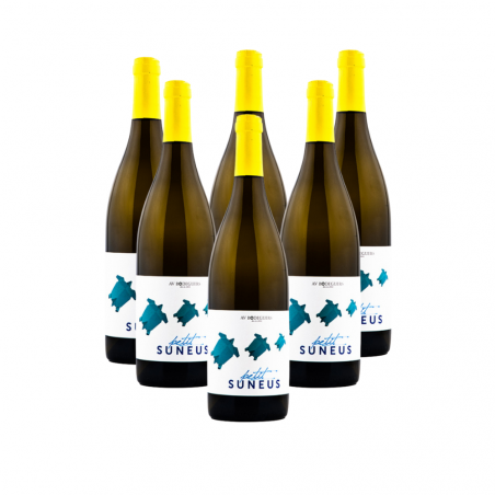 Av Bodeguers Petit Suneus Blanc 2021 - Carton de 6 bouteilles6928