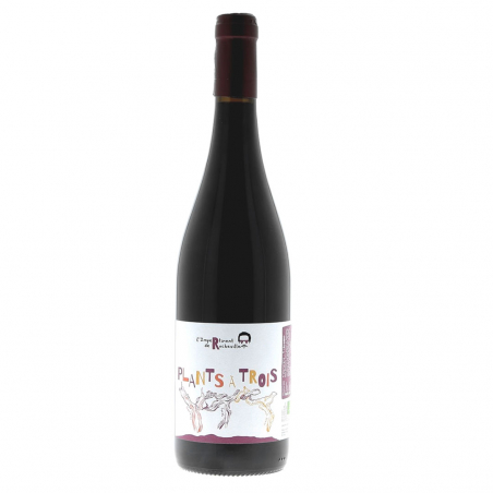 Domaine de Rocheville "L'Impertinent de Rocheville Plants à Trois" Vin de France 2024 Magnum6967