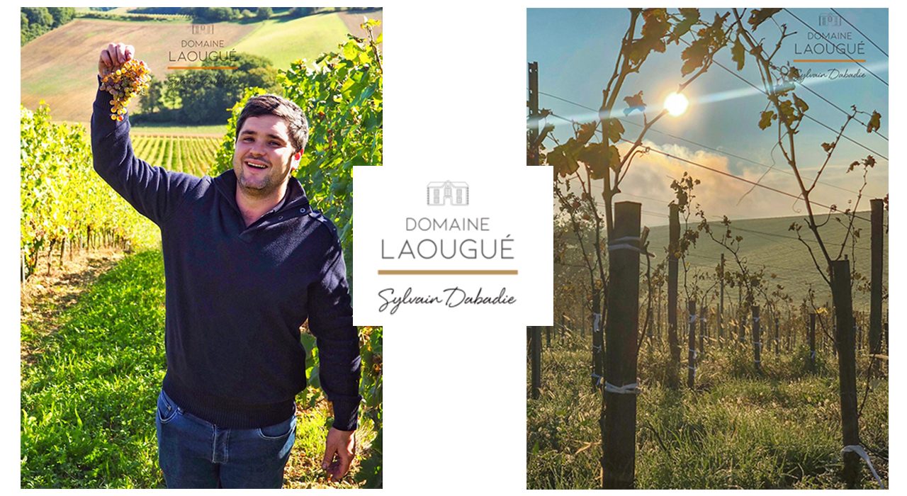 Domaine Laougué – Héritage, Modernité et Terroir au Pied des Pyrénées